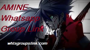 Amine Whatsapp Group Link